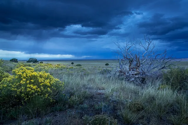 Great Plains
