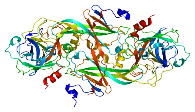 Haemophilia C