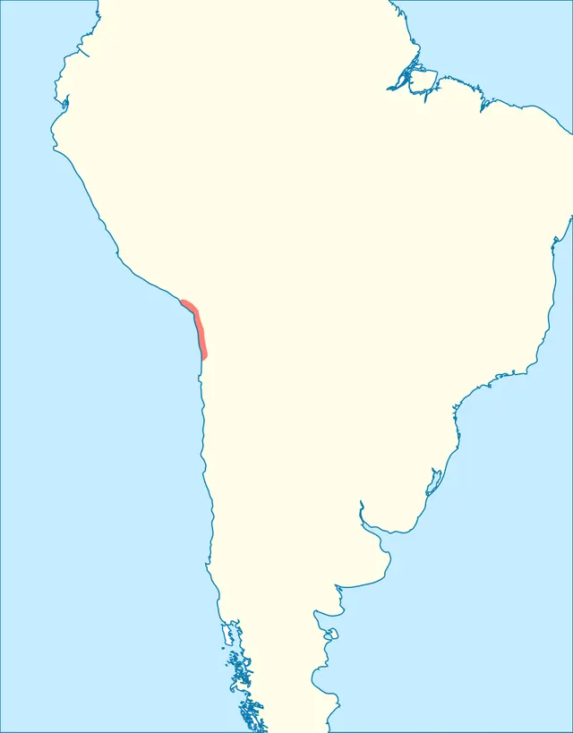 Culture chinchorro