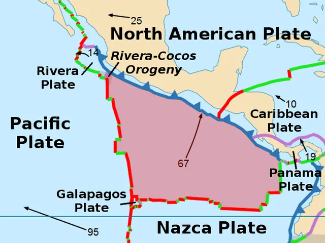 Plaque de Cocos