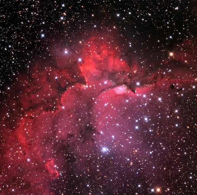 Cepheus OB1