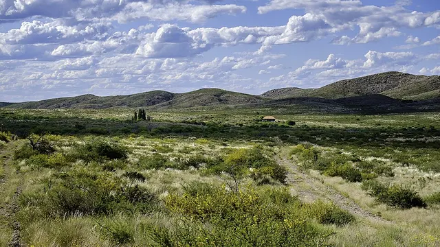 Province de La Pampa