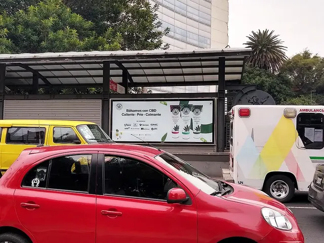 Cannabis in Mexico