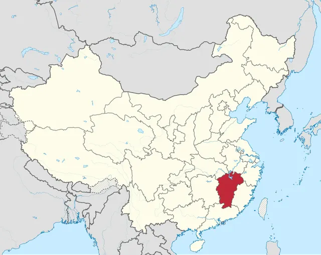 Fengcheng power station scaffold collapse