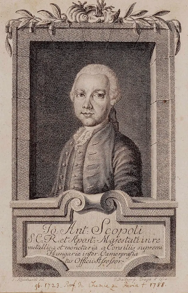 Giovanni Antonio Scopoli