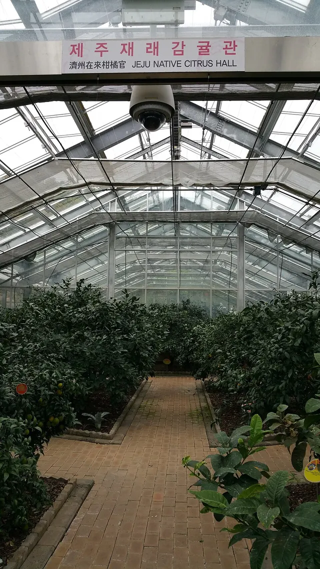 Citrus Museum