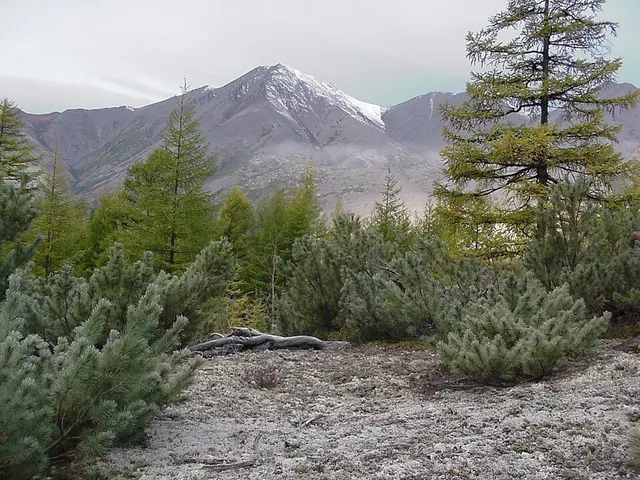 Monts de la Kolyma