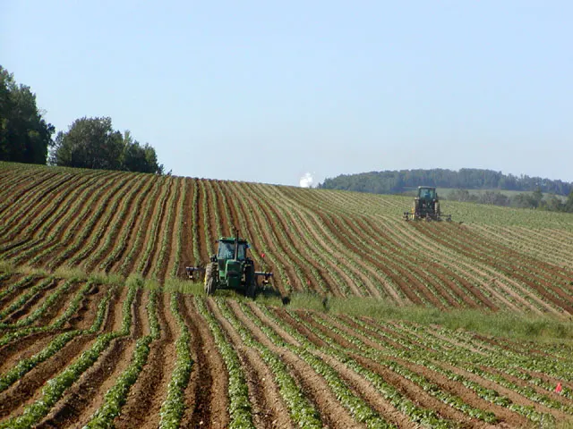 Monoculture