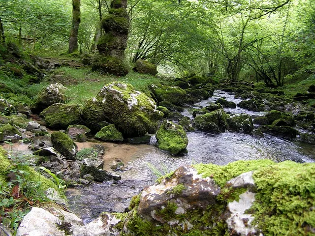 Latarmá River