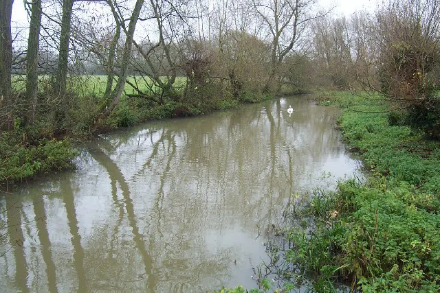 Hinksey Stream