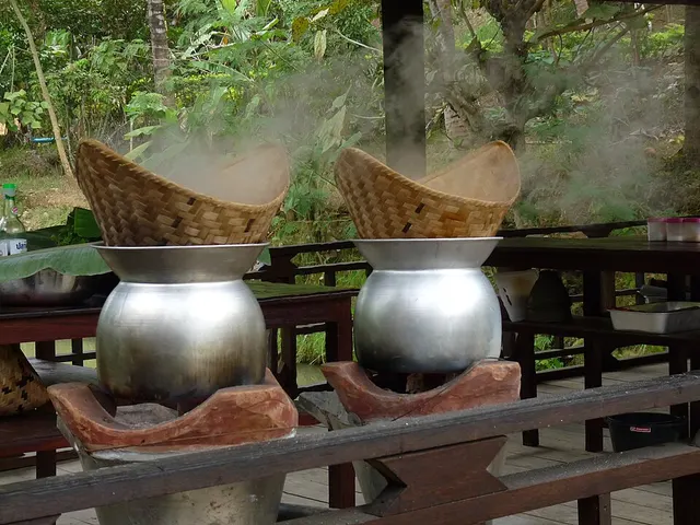 Cuisson à la vapeur