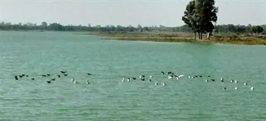 Charowa dam