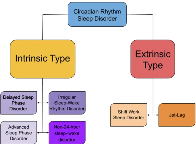 Circadian rhythm sleep disorder