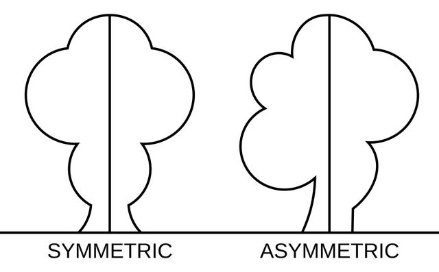 Symétrie