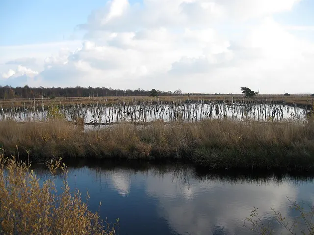 Diepholz Moor Depression