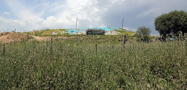 Nerik