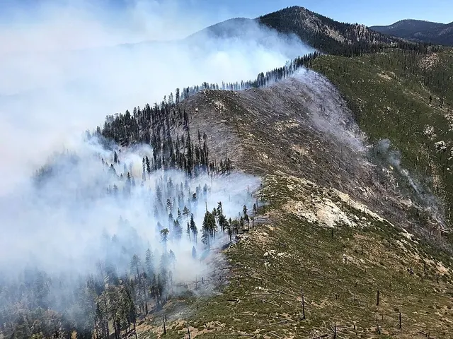Schaeffer Fire