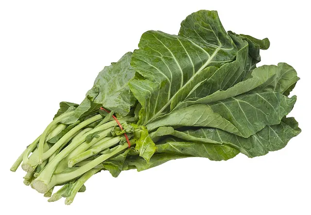Collard