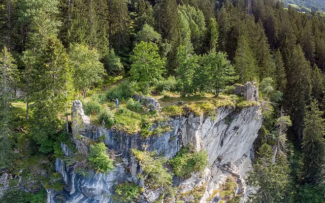 Schwarzenstein Castle