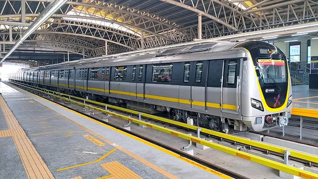 Yellow Line