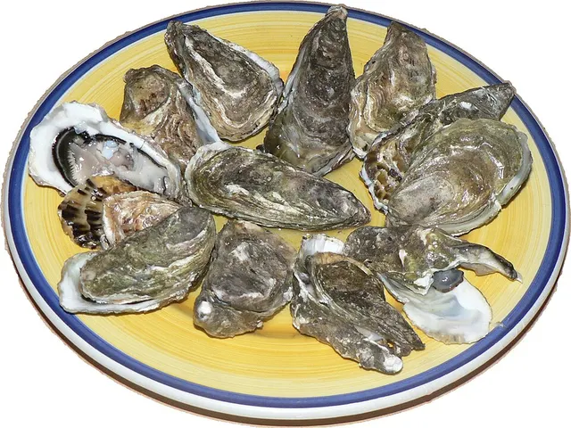 Shellfish