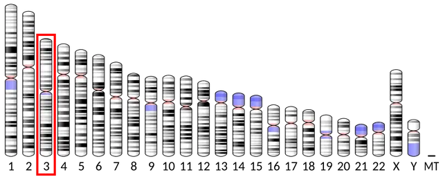 SIDT1