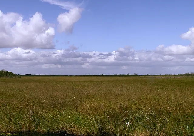 Plaine côtière
