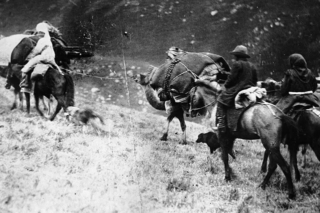 Central Asian revolt of 1916