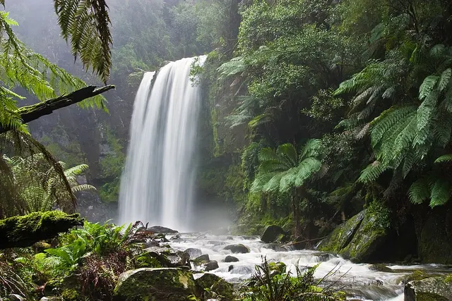Natural environment