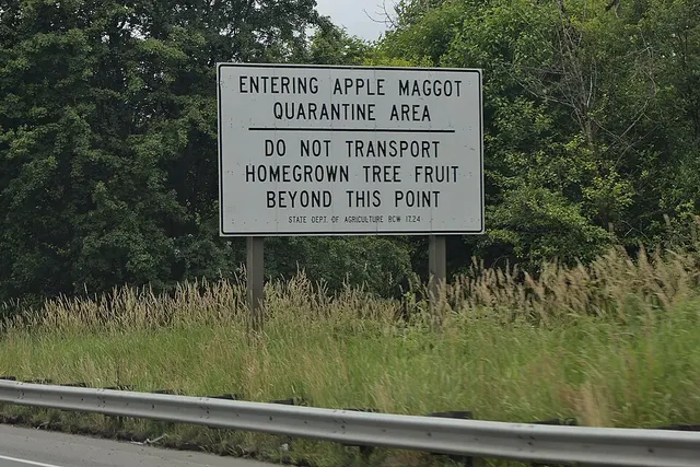 Apple Maggot Quarantine Area