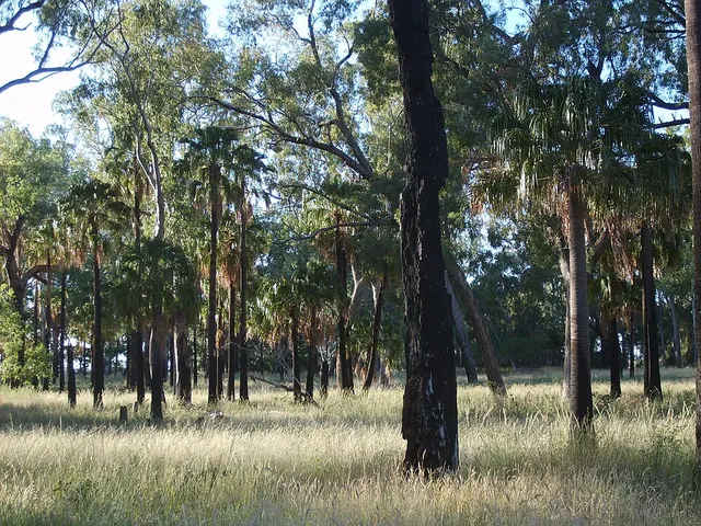 Broadmere, Queensland