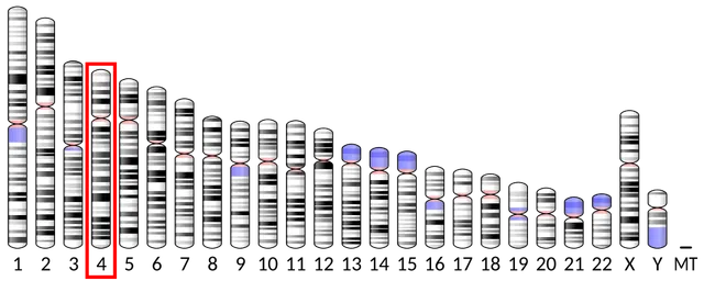 Protein phosphatase with EF-hand domain 2