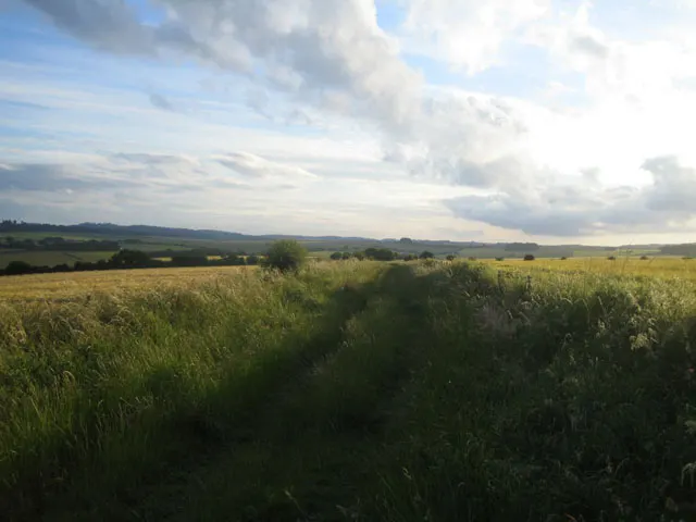 West Wiltshire Downs