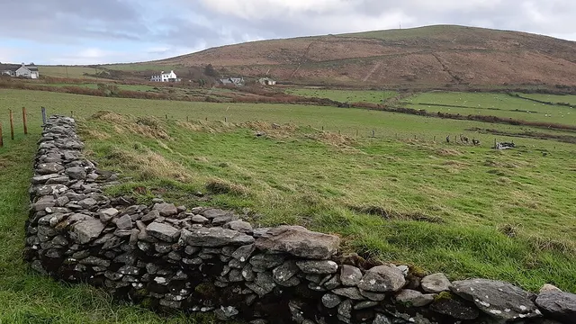 Maumanorig