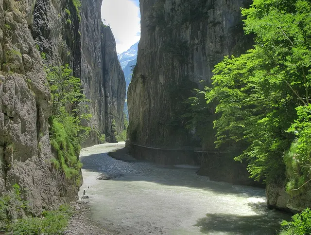 Gorges de l'Aar