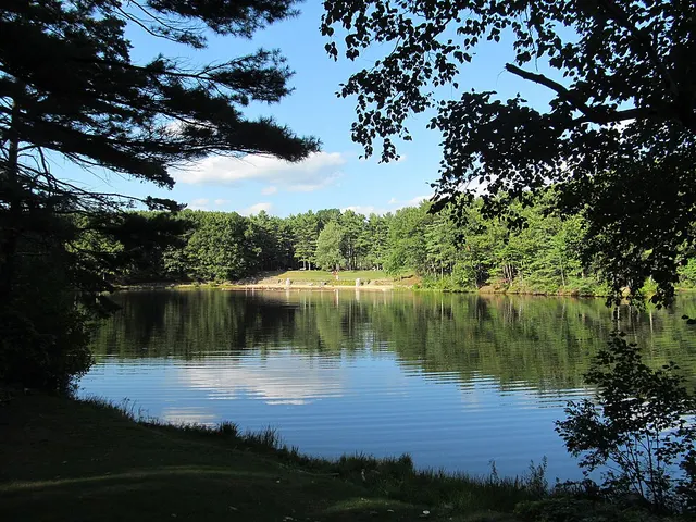 Leominster State Forest