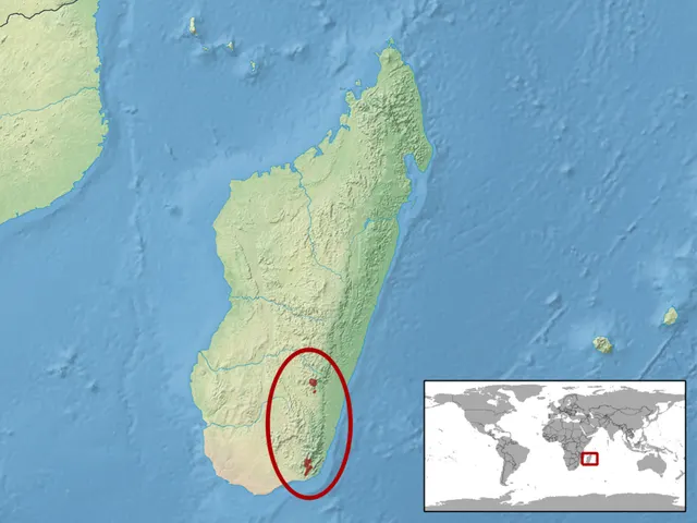 Mount Ivohibe gecko