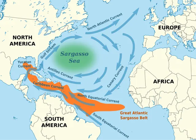 Sargasso Sea
