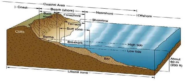 Littoral