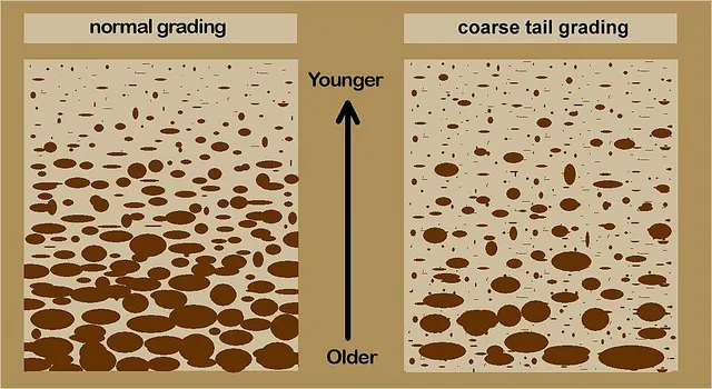 Graded bedding