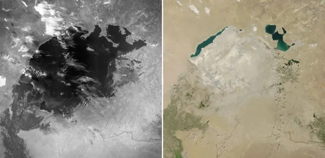 Ecosystem collapse