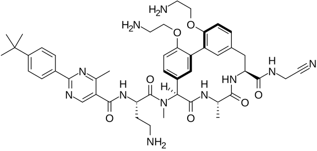 Arylomycin