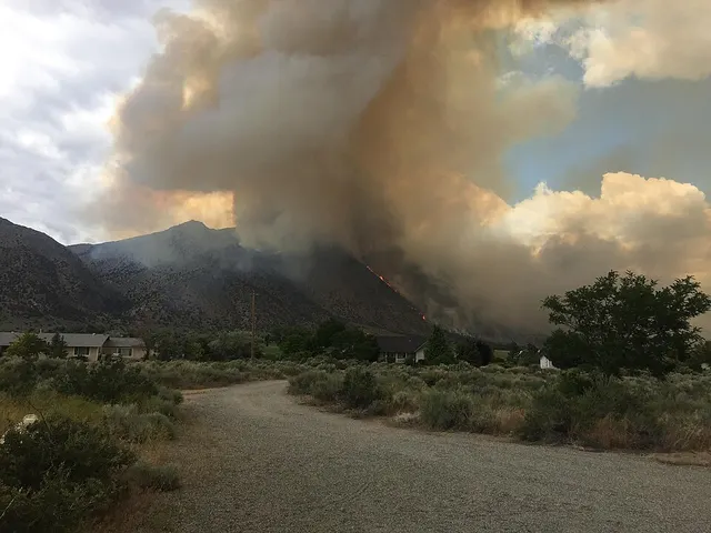 2018 Nevada wildfires