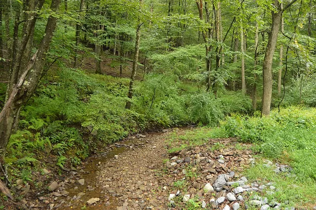 Pennsylvania State Game Lands Number 49