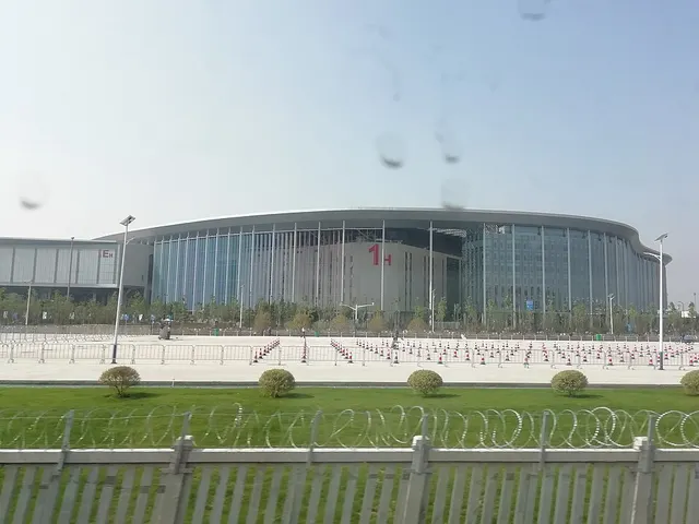China International Import Expo