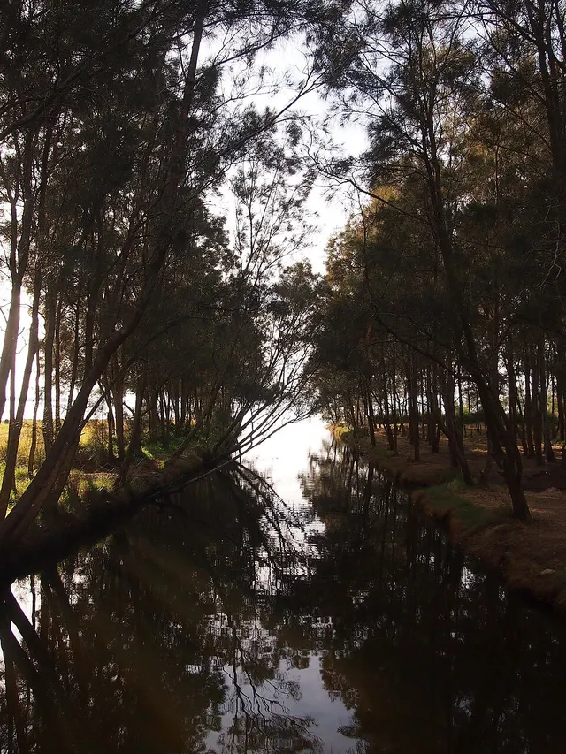 Berkeley Vale, New South Wales