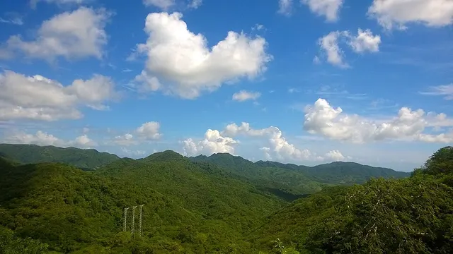 Algarrobo, Aibonito, Puerto Rico