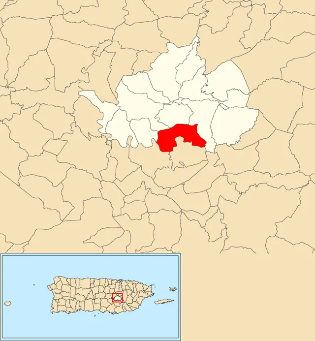 Rincón, Cidra, Puerto Rico