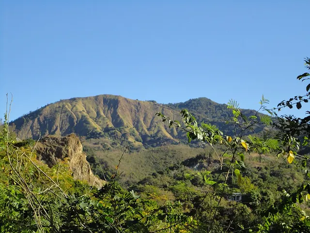 Tabonuco, Sabana Grande, Puerto Rico