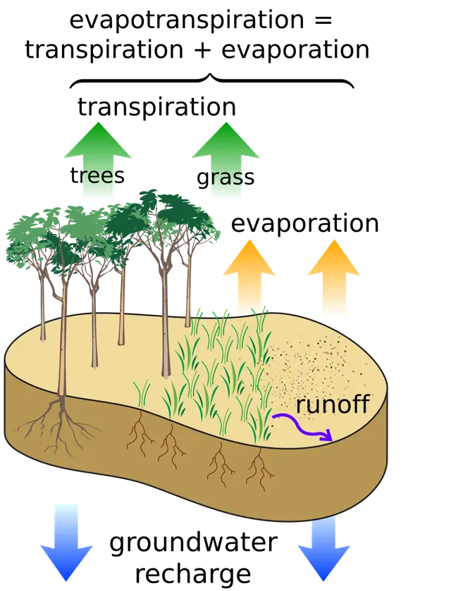 Groundwater recharge